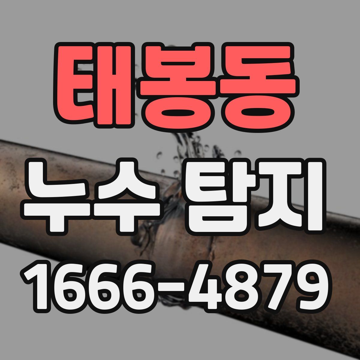태봉동 누수 탐지