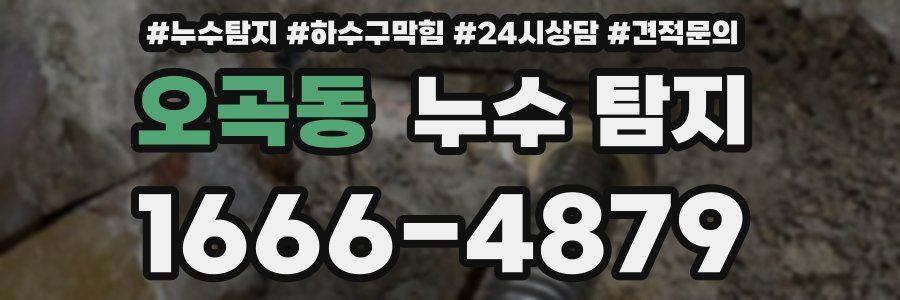 오곡동 누수 탐지