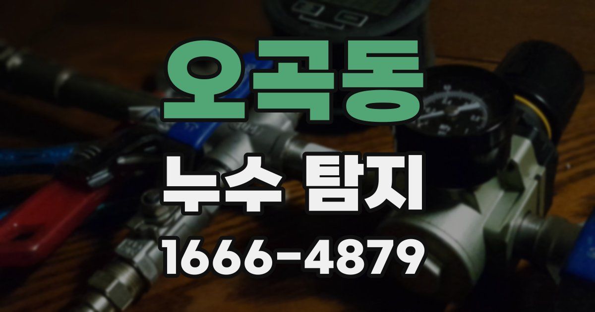 오곡동 누수 탐지