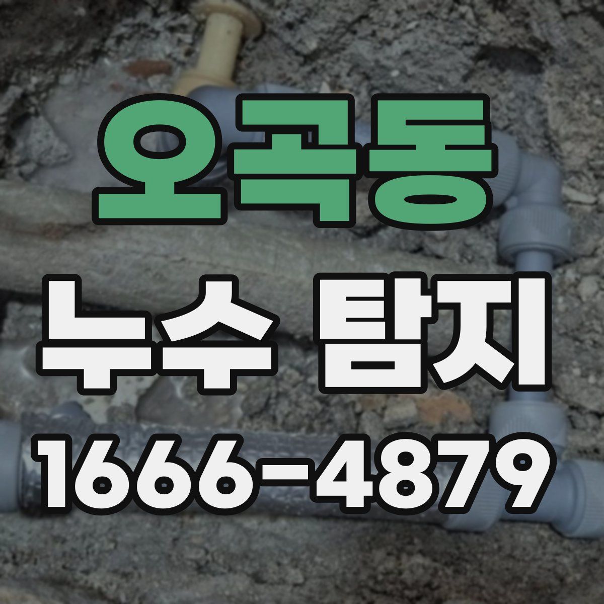 오곡동 누수 탐지