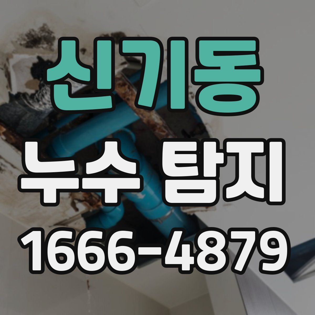 신기동 누수 탐지