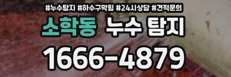 소학동 누수 탐지