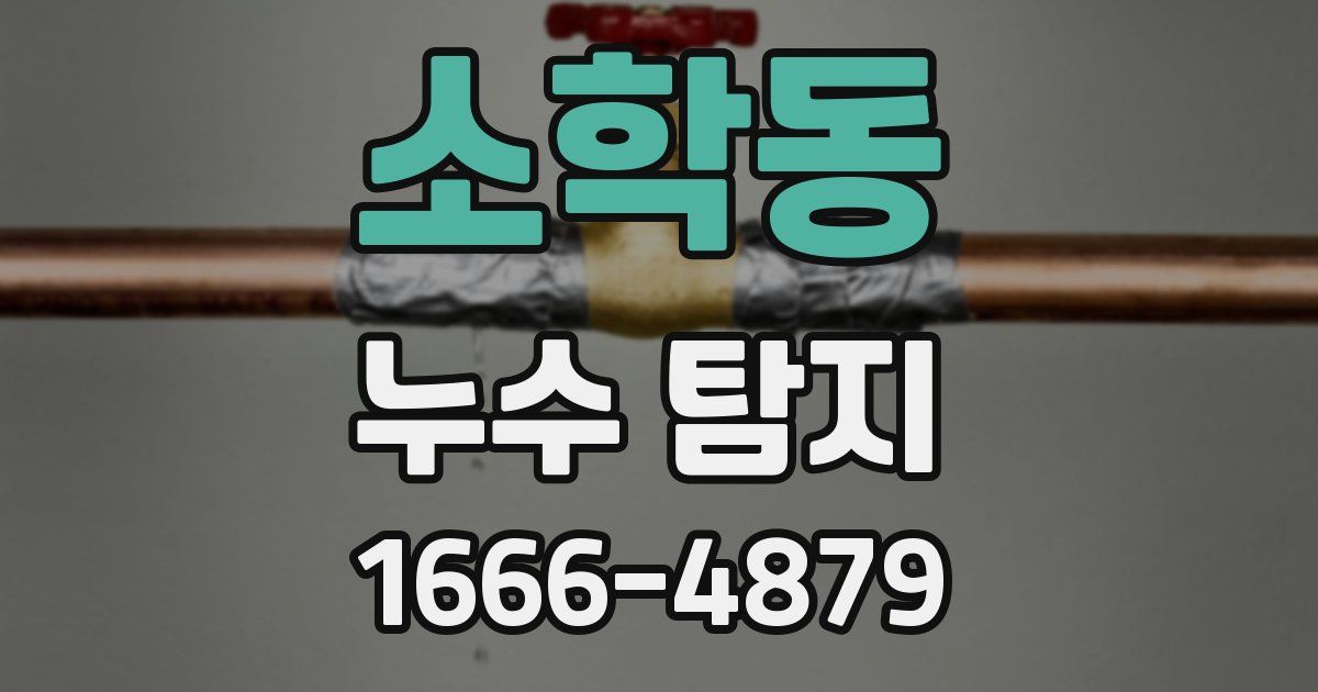소학동 누수 탐지