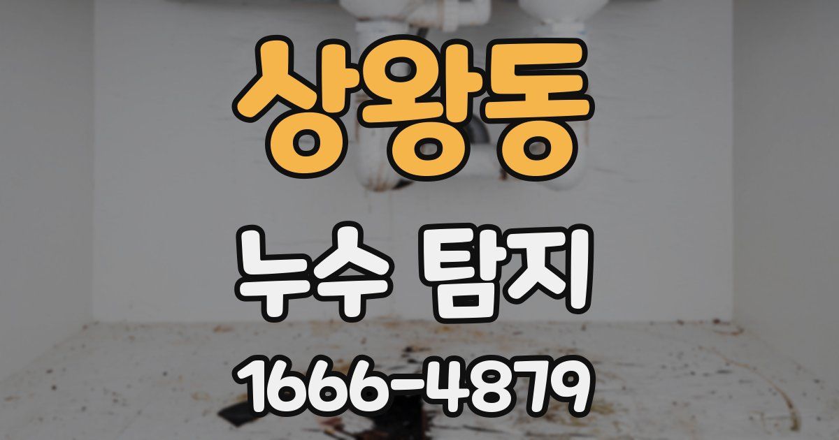 상왕동 누수 탐지