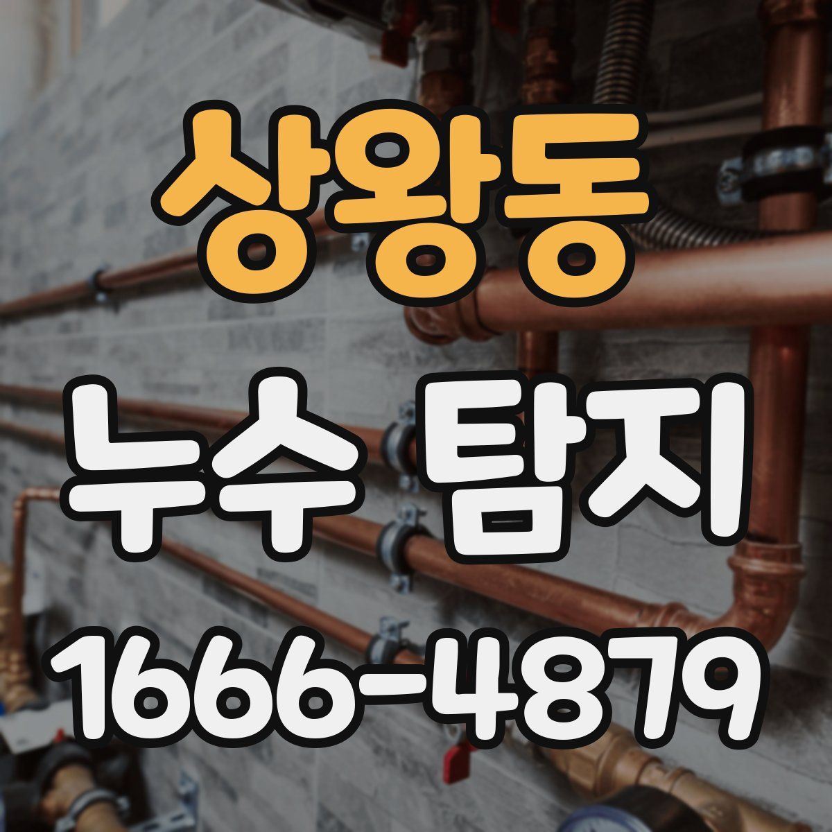 상왕동 누수 탐지