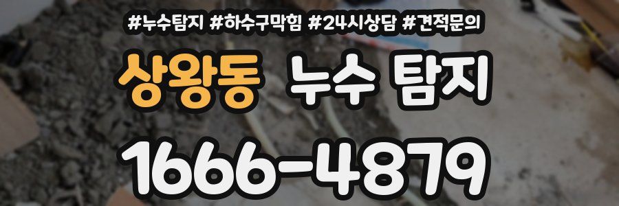 상왕동 누수 탐지