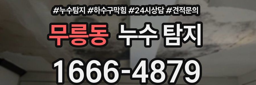 무릉동 누수 탐지