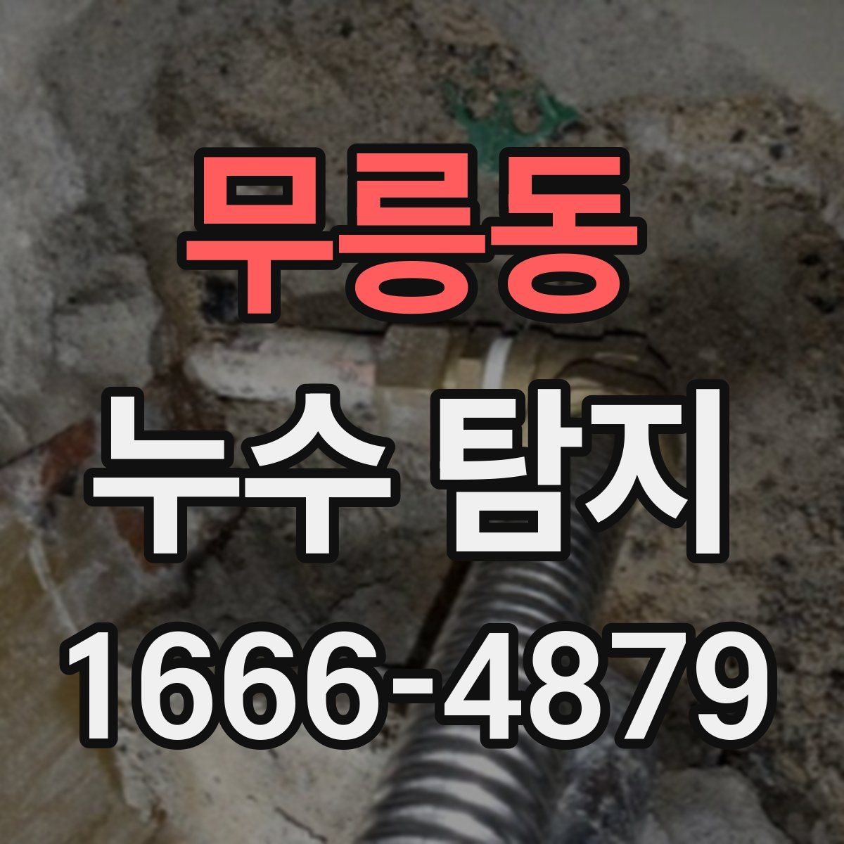 무릉동 누수 탐지