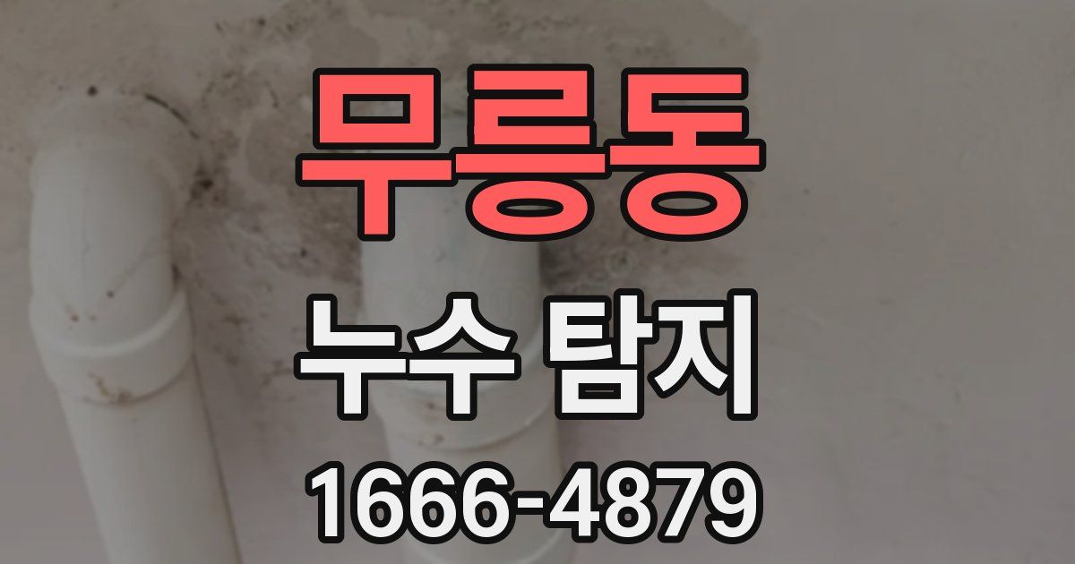 무릉동 누수 탐지