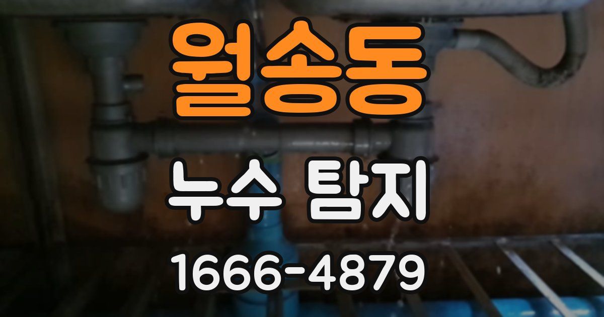 월송동 누수 탐지