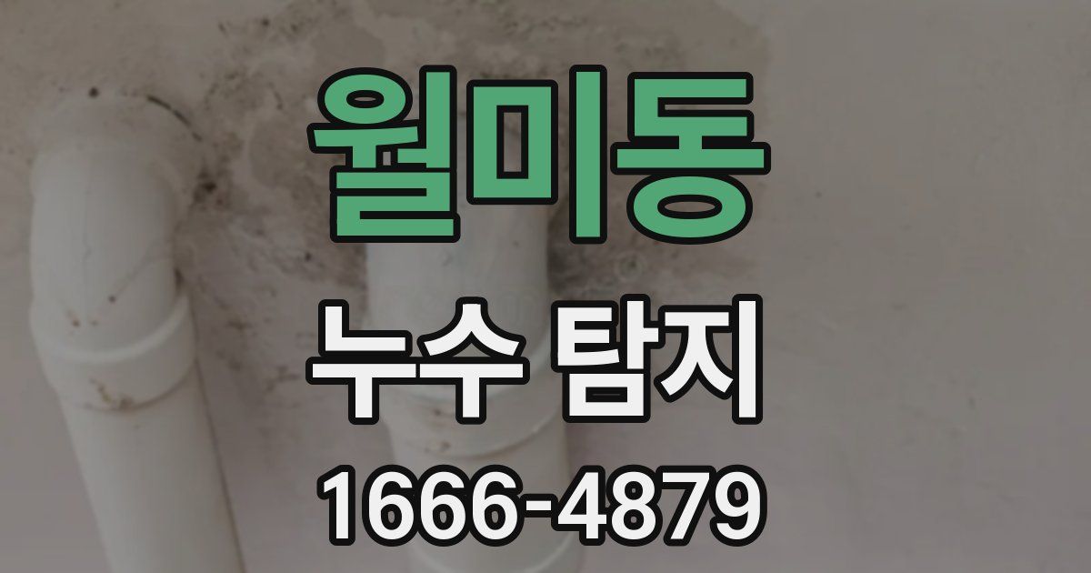 월미동 누수 탐지