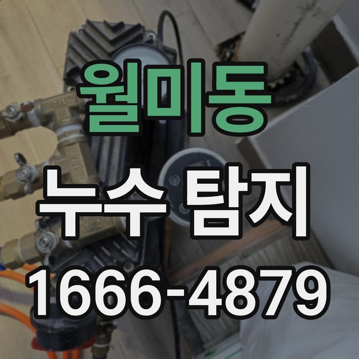 월미동 누수 탐지