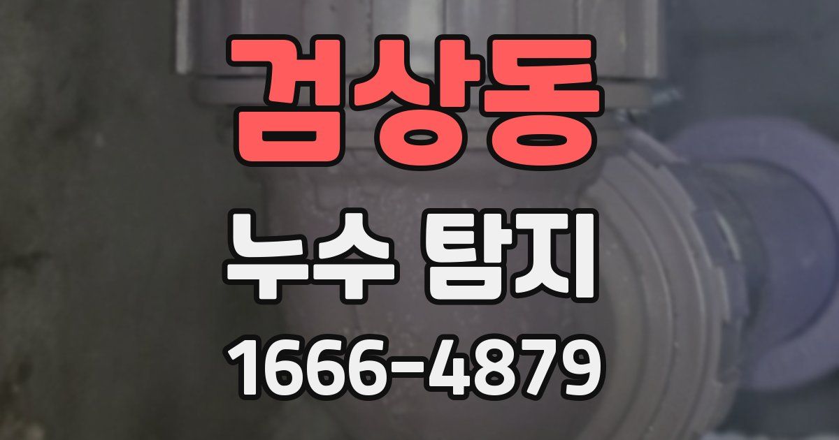 검상동 누수 탐지