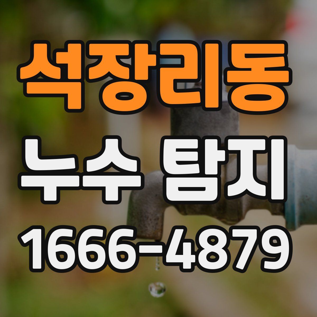 석장리동 누수 탐지