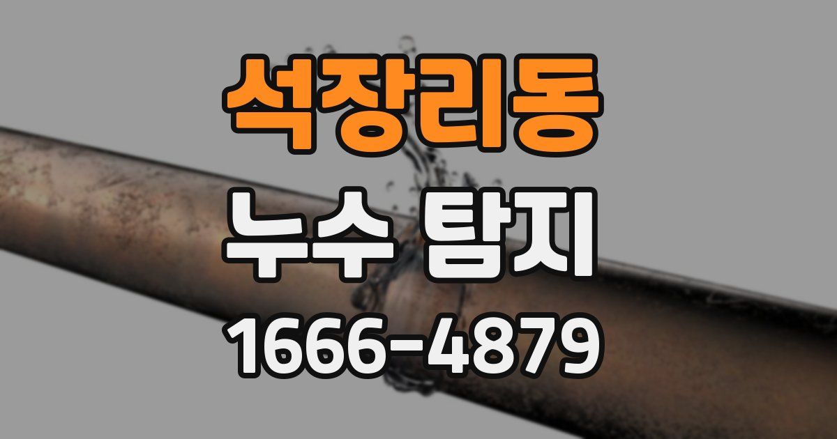 석장리동 누수 탐지