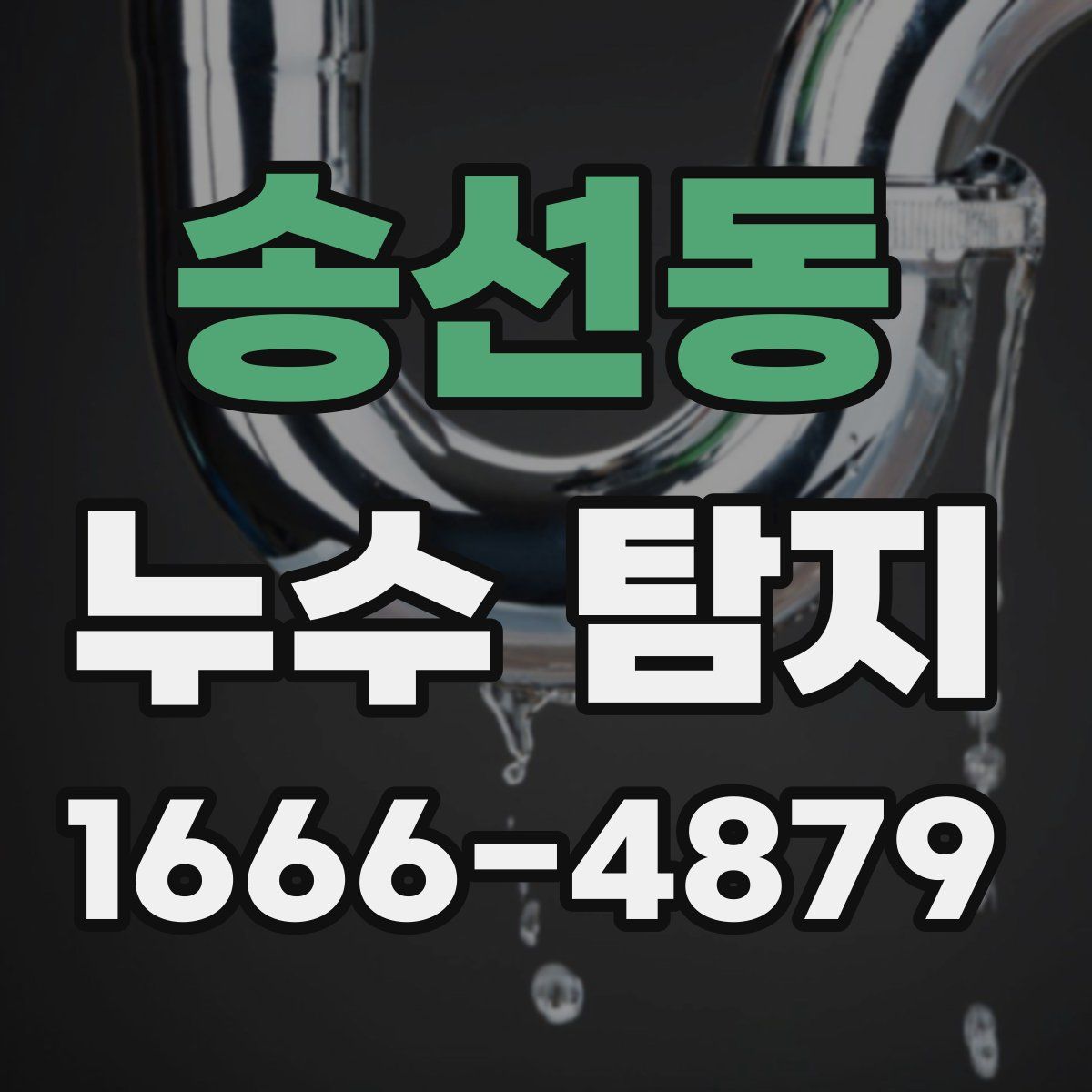 송선동 누수 탐지