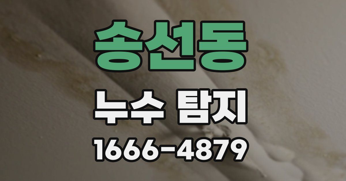 송선동 누수 탐지