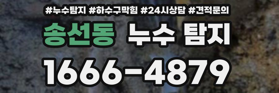 송선동 누수 탐지