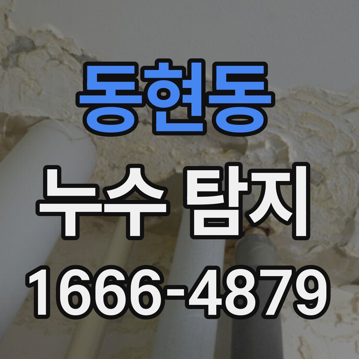 동현동 누수 탐지