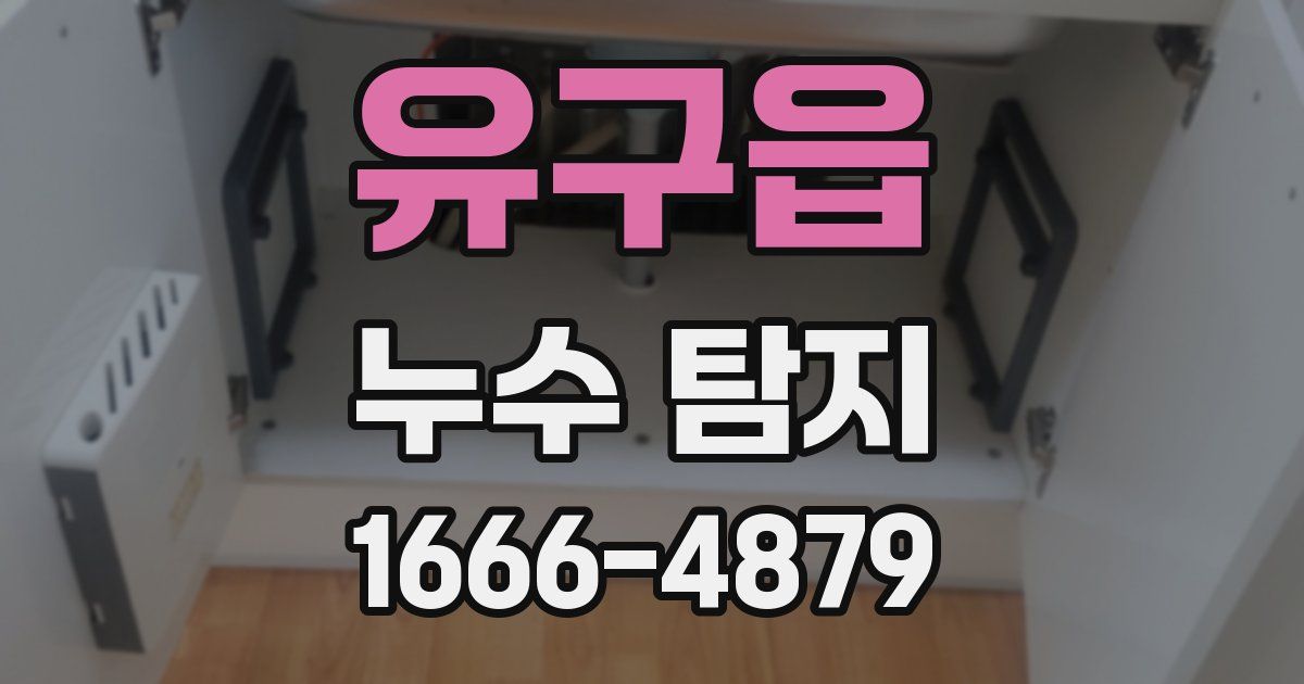 유구읍 누수 탐지