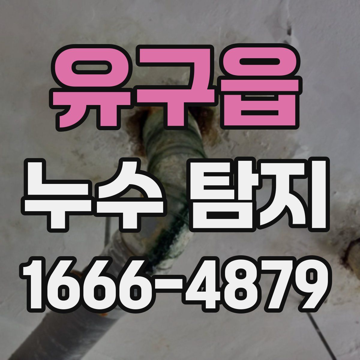 유구읍 누수 탐지