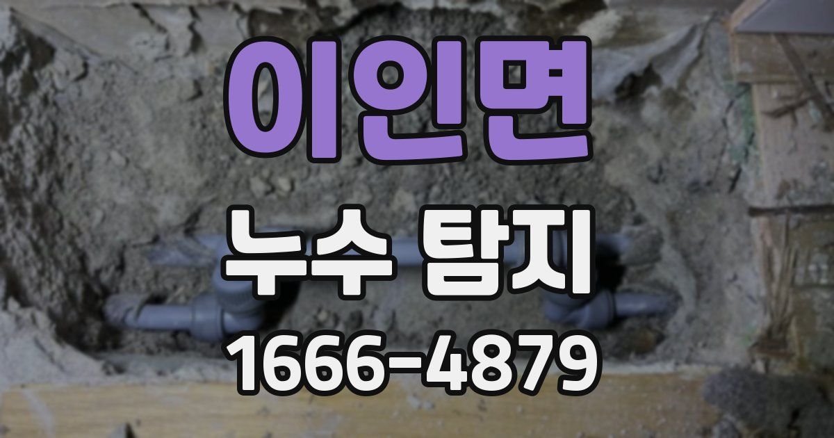 이인면 누수 탐지