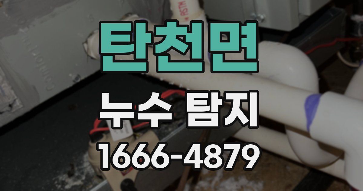 탄천면 누수 탐지