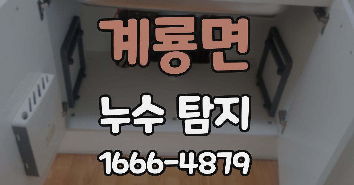 계룡면 누수 탐지