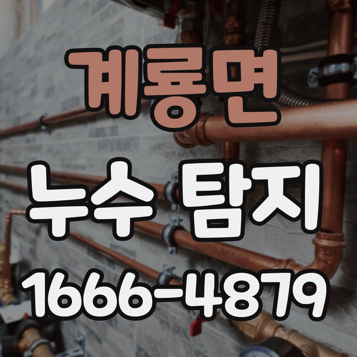 계룡면 누수 탐지