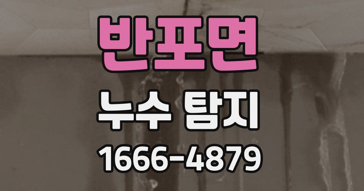 반포면 누수 탐지