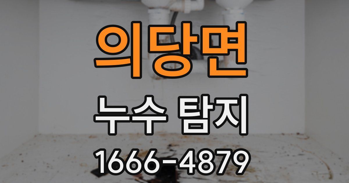 의당면 누수 탐지