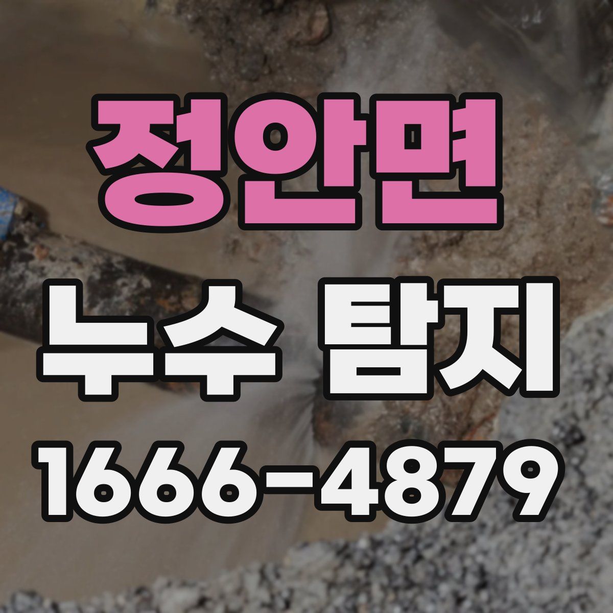 정안면 누수 탐지