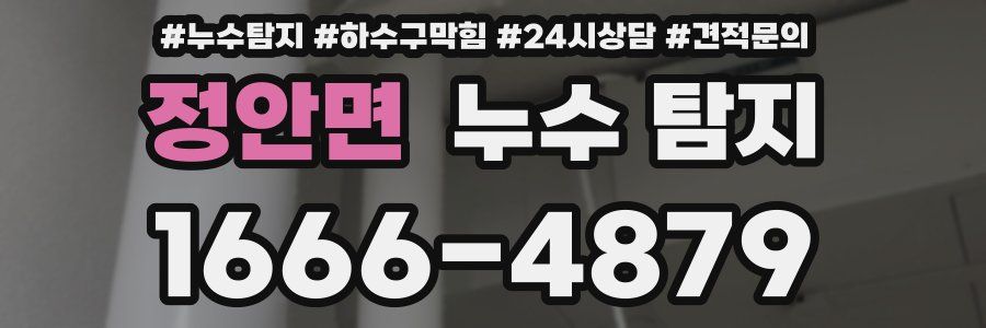 정안면 누수 탐지