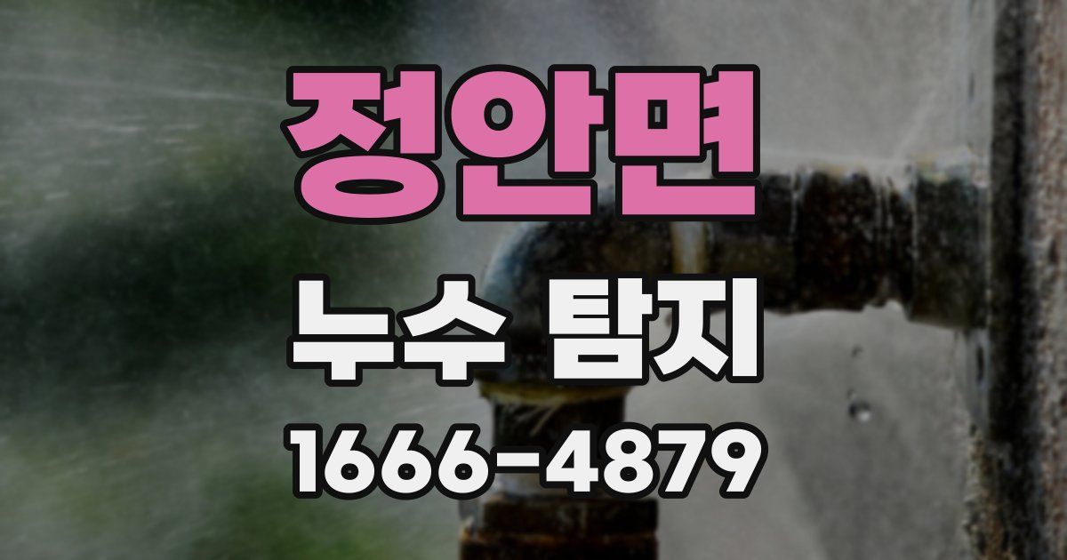 정안면 누수 탐지