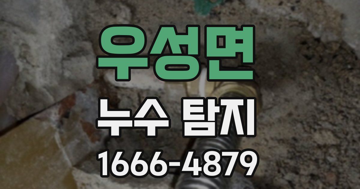우성면 누수 탐지