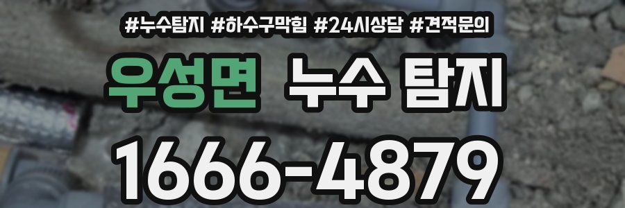 우성면 누수 탐지