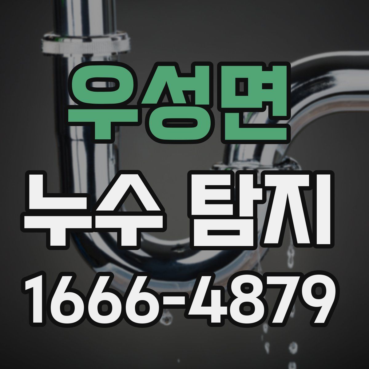 우성면 누수 탐지