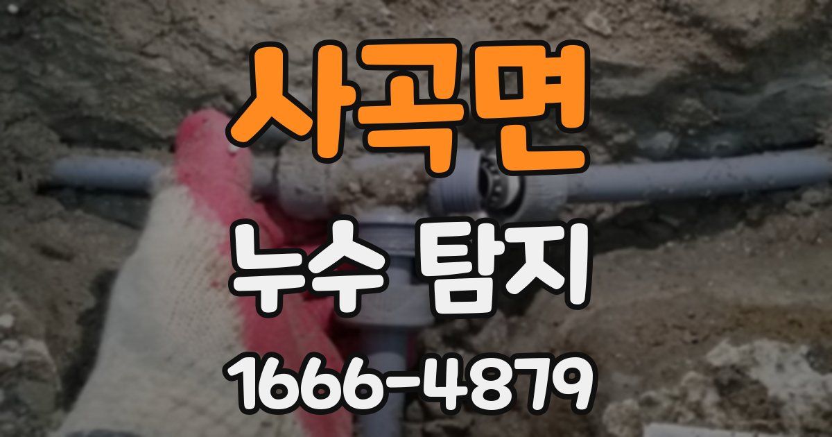 사곡면 누수 탐지