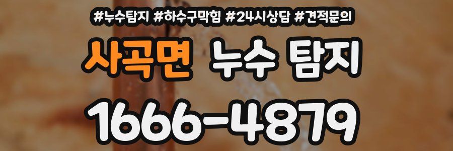 사곡면 누수 탐지