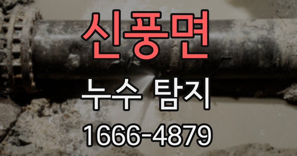신풍면 누수 탐지