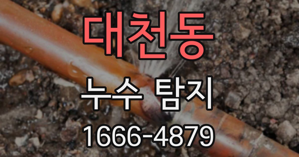 대천동 누수 탐지
