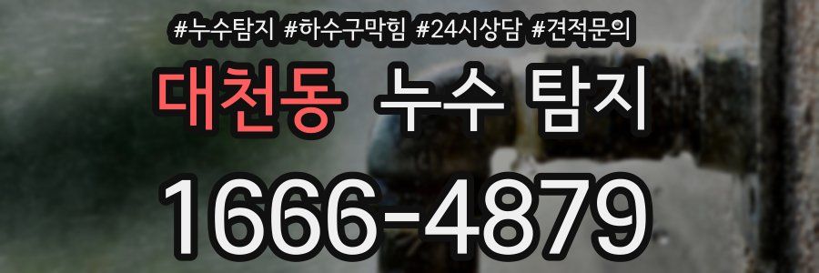 대천동 누수 탐지