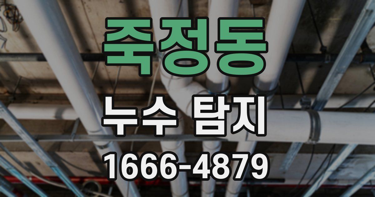 죽정동 누수 탐지