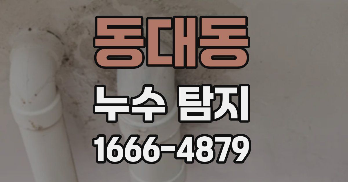 동대동 누수 탐지