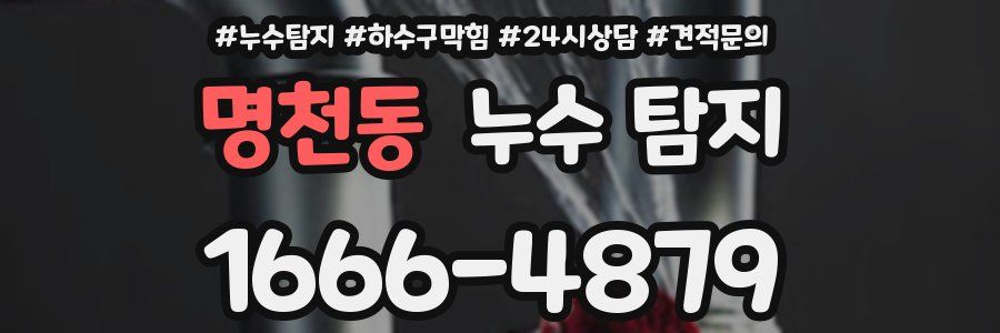 명천동 누수 탐지