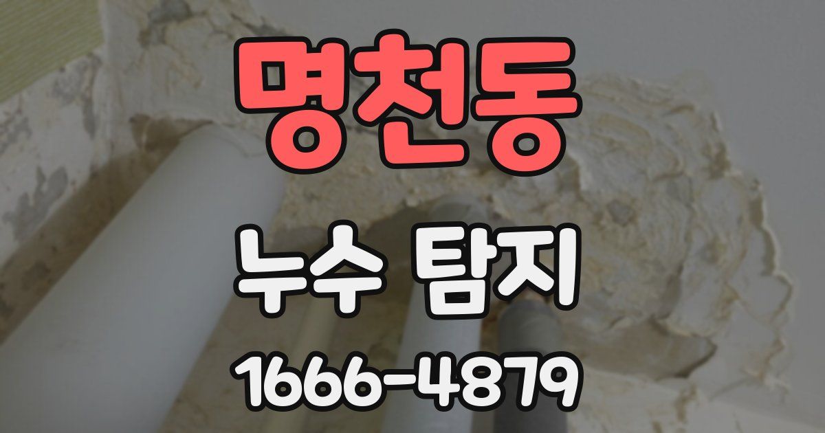 명천동 누수 탐지