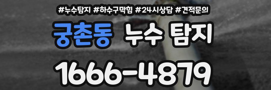 궁촌동 누수 탐지