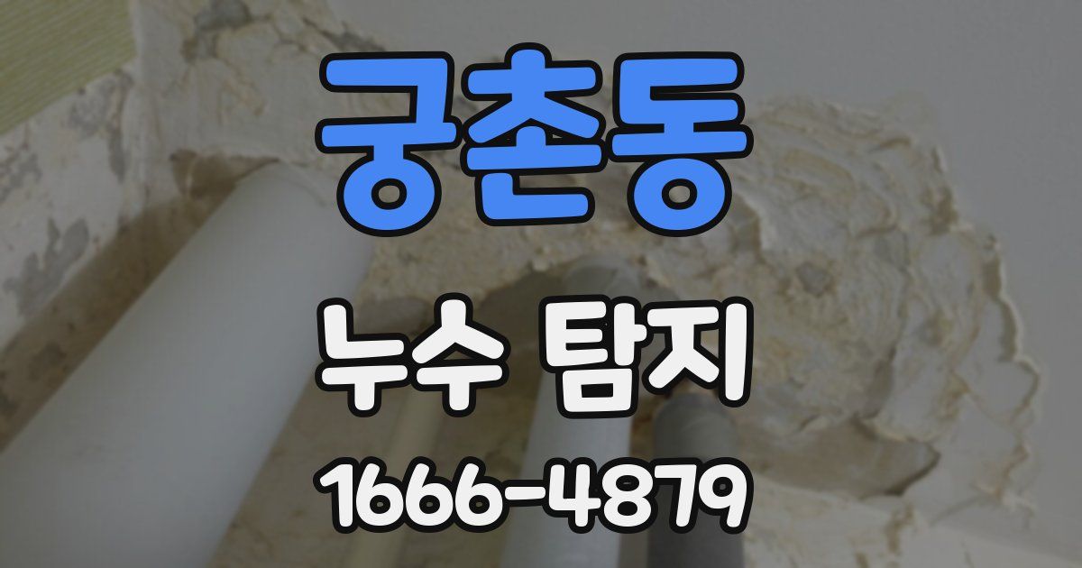 궁촌동 누수 탐지