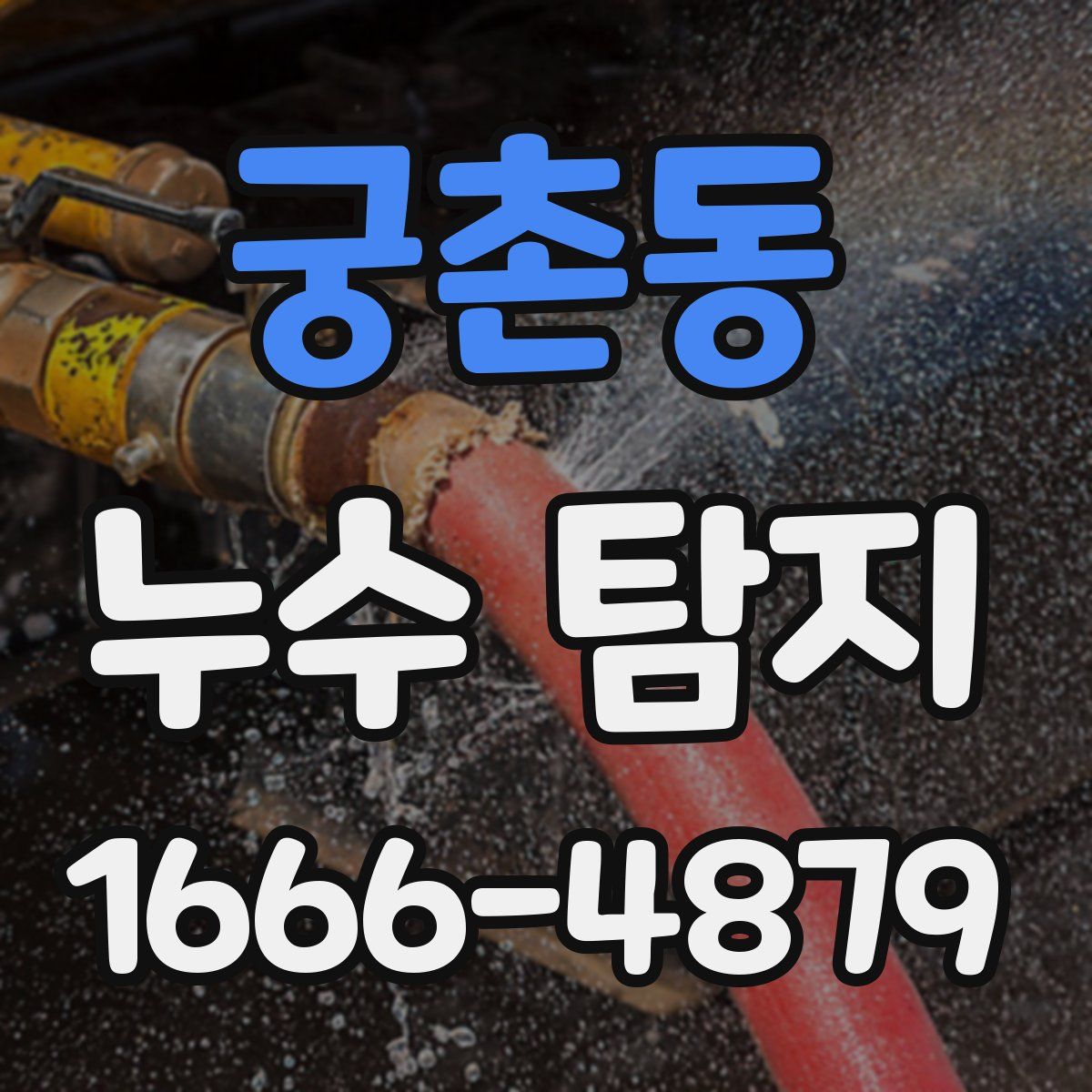 궁촌동 누수 탐지