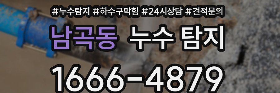 남곡동 누수 탐지